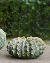 Images Shw1200-0300_12.jpg